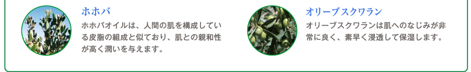 ホホバ
ホホバオイルは、人間の肌を構成している皮脂の組成と似ており、肌との親和性が高く潤いを与えます。
オリーブ スクワラン
オリーブスクワランは肌へのなじみが非常に良く、素早く浸透して保湿します。