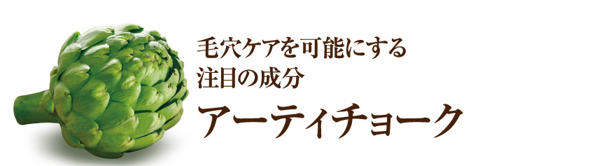 毛穴ケアを可能にする注目の成分
アーティチョーク