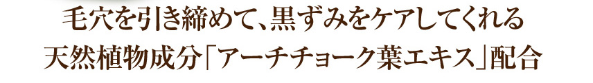 毛穴を引き締めて、黒ずみをケアしてくれる
天然植物成分「アーチチョーク葉エキス」配合