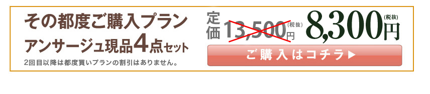 その都度ご購入プラン
アンサージュ現品4点セット
定価13,500円（税抜）
8,300円（税抜）
ご購入はコチラ