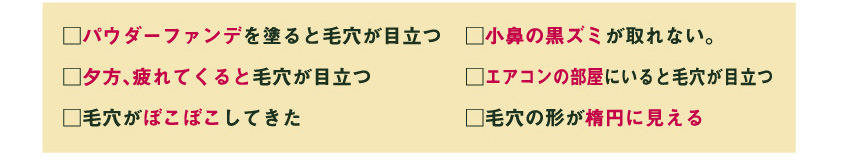 □パウダーファンデを塗ると毛穴が目立つ
□夕方疲れてくると毛穴が目立つ
□毛穴がぼこぼこしてきた
□小鼻の黒ズミが取れない。
□エアコンの部屋にいると毛穴が目立つ
□毛穴の形が楕円に見える