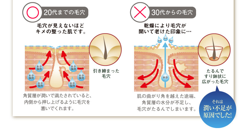 20代までの毛穴
毛穴が見えないほどキメの整った肌です。
角質層が潤いで満たされていると、内側から押し上げるように毛穴を塞いでくれます。
30代からの毛穴
乾燥により毛穴が開いて老けた印象に…
肌の曲がり角を越えた途端、角質層の水分が不足し、毛穴がたるんでしまいます。
それは潤い不足が原因でした！