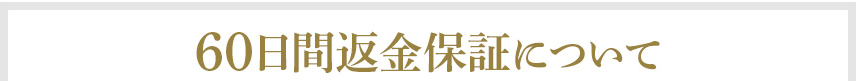 60日間返金保証制度付き！