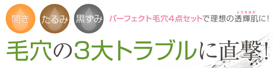 開き たるみ 黒ずみ パーフェクト毛穴４点セットで理想の透輝肌に！
毛穴の3大トラブルに直撃！