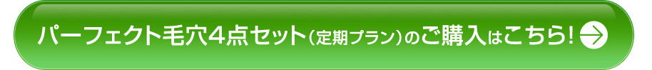 パーフェクト毛穴4点セット（定期プラン）のご購入はこちら！
