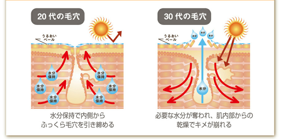 20代の毛穴
水分保持で内側からふっくら毛穴を引き締める
30代の毛穴
必要な水分が奪われ、肌内部からの乾燥でキメが崩れる
