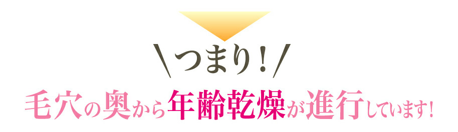 つまり！
毛穴の奥から年齢乾燥が進行しています！