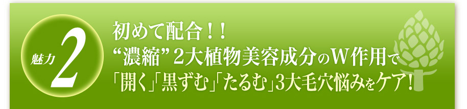 魅力2
初めて配合！！“濃縮” 2大植物美容成分のW作用で「開く」「黒ずむ」「たるむ」3大毛穴悩みをケア！