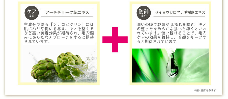 ケア成分 アーチチョーク葉エキス
主成分である「シナロピクリン」には肌にハリや潤いを与え、キメを整えるなど高い美容効果が期待され、毛穴悩みにあらたなアプローチをすると期待されています。
防御成分
セイヨウシロヤナギ樹皮エキス
うるおいの膜で乾燥や肌荒れを防ぎ、キメの整ったなめらかな肌へと導くといわれています。使い続けることで、毛穴ケアの効果を維持し、若顔をキープすると期待されています。