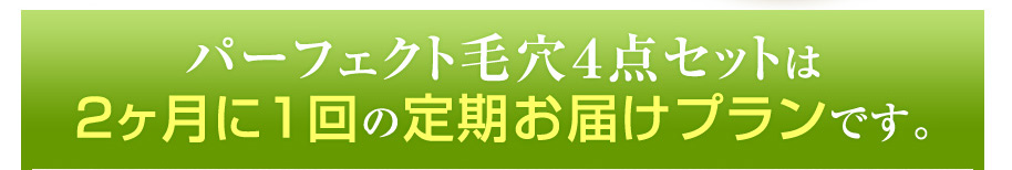 パーフェクト毛穴４点セットは
2ヶ月に1回の定期お届けプランです。