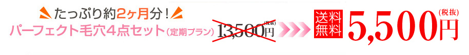 たっぷり約2ヶ月分！
パーフェクト毛穴４点セット（定期プラン）13,500円（税抜）
送料無料5,500円（税抜）
