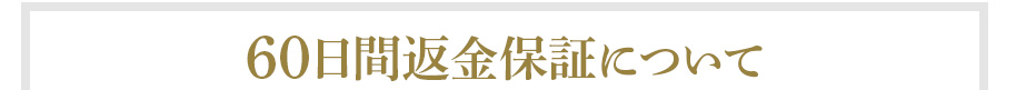 60日間返金保証制度付き！