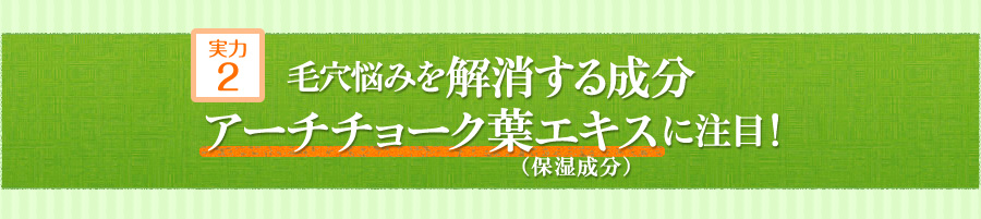 実力２：毛穴悩みを解消する成分アーチチョーク葉エキス（保湿成分）に注目！