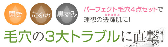 毛穴の開き 黒ずみ たるみのお得な化粧品セット販売 アンサージュ 毛穴の開き 黒ずみ たるみのお得な化粧品セット販売 アンサージュ