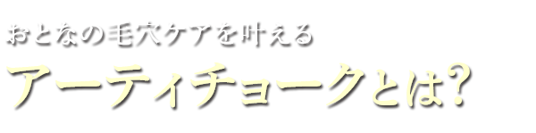 黒ずみ毛穴ケア化粧品のお得なセット販売 アンサージュ